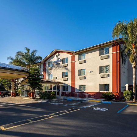 Comfort Inn Gilroy Kültér fotó
